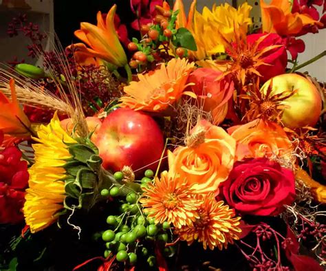 51 Beautiful Thanksgiving Flowers Images Free Download 2023 ...