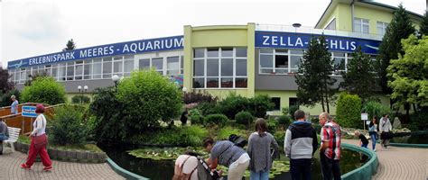 Familienausflug Zum Erlebnispark Meeresaquarium Zella Mehlis Zella