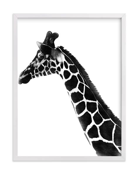 Giraffe Charcoal Drawing Wall Art Prints By Becky Nimoy Minted