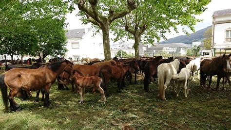 Fotograf As Del D A Grande De Las Ferias Y Fiestas De As Quendas De