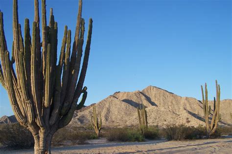 One Of The Best Kept Promises Of Baja California Is The Valley Of The