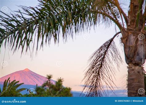 Amazing Teide Sunrise View from the Distance with a Palm Tree on the ...