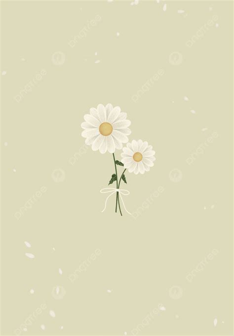 White Daisy Simple Wallpaper Background Wallpaper Image For Free Download - Pngtree