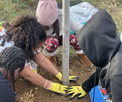 Students And Staff From S Christa McAuliffe ES Plant Trees To