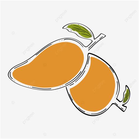 Aesthetic Mango Line Art Mango Drawing Mango Sketch Mango PNG