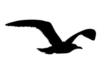 Flying Seagull Silhouette Vector Images (over 1,500)