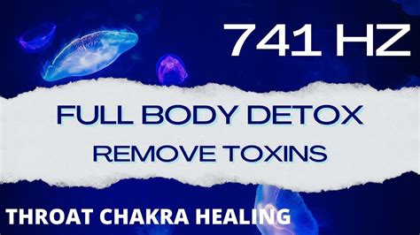 741 Hz Solfeggio Frequency Throat Chakra Healing Full Body TOXIN