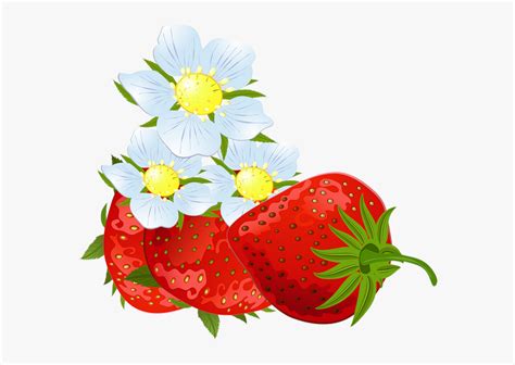 Tube Fraises Strawberries Png Erdbeeren Fresas Strawberry