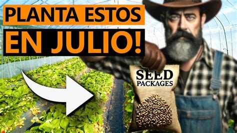 ¡guía De Cultivo De Julio 7 Cultivos Fáciles De Empezar Ahora Youtube