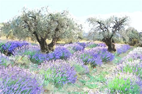 Olive Trees And Lavender In Provence Painting By Marino Antoine Fine