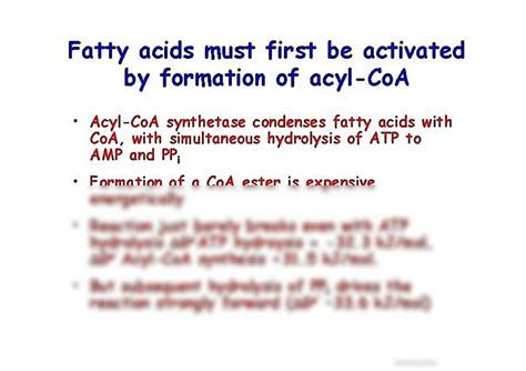 Solution Beta Oxidation Fatty Acid Catabolism Studypool