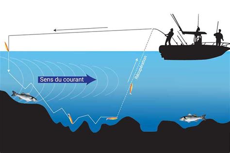 Conseils De Pêche En Mer Blog Pacific Pêche