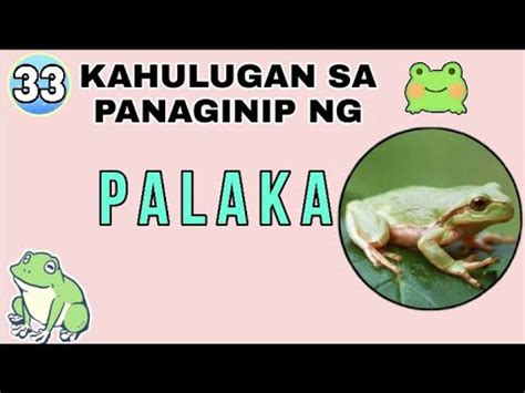 Kahulugan Sa Panaginip Ng Palaka Dreaming And Meaning Of Frog