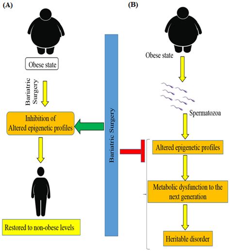 Medicina Free Full Text Epigenetic Regulation Of Obesity Associated