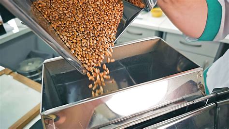 Soybean Sorting In Industrial Selection Process Close Up Of Soybeans