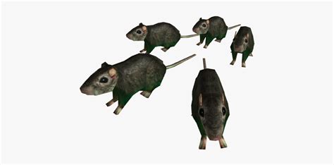 Horde Of Rats Horde Of Rats Roblox Hd Png Download Kindpng