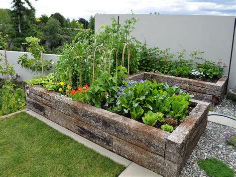 Vegetable Garden Ideas Hawk Haven