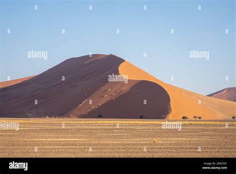 The Red Sand Dunes Sossusvlei Namib Naukluft National Park Namibia The Red Colour Is An