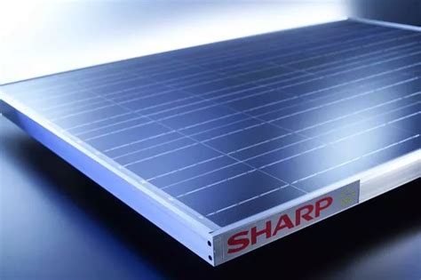 Sharp Confirm Commitment To Solar Panel Plant In Wrexham Daily Post