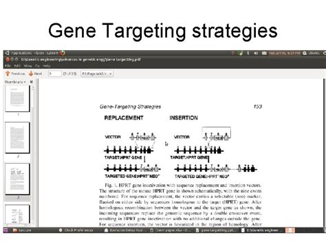 Gene targeting Gene Targeting strategies History 1977 1980