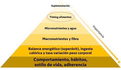 La Prote Na Que Puede Asimilar El Cuerpo Por Comida