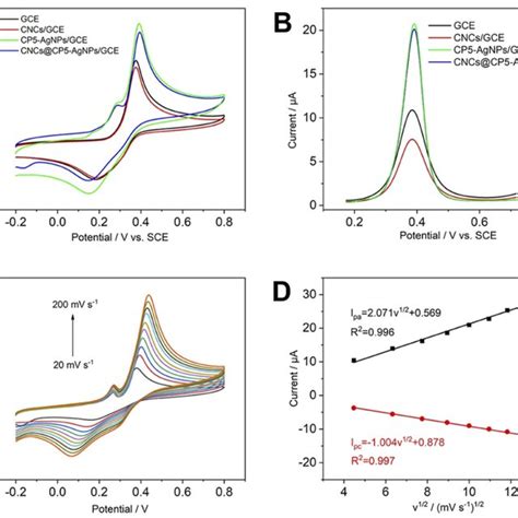 A And B Cv Curves And Dpv Curves Of Different Electrodes In 500 μm Ap Download Scientific