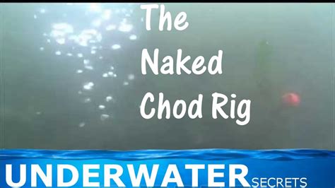 Carp Fishing Naked Chod Rig Underwater Youtube