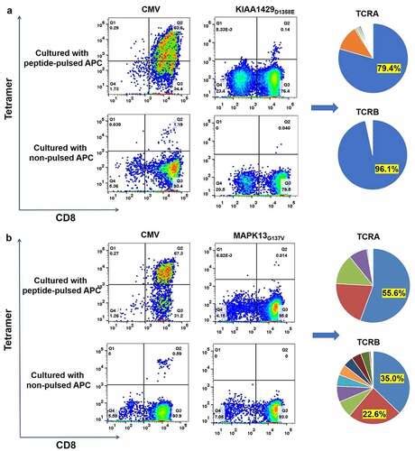 Full Article Generation Of Neoantigen Specific T Cells For Adoptive