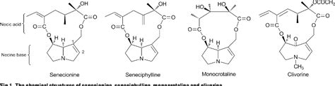 Figure 1 From Differential Induction Of Apoptosis And Autophagy By Pyrrolizidine Alkaloid