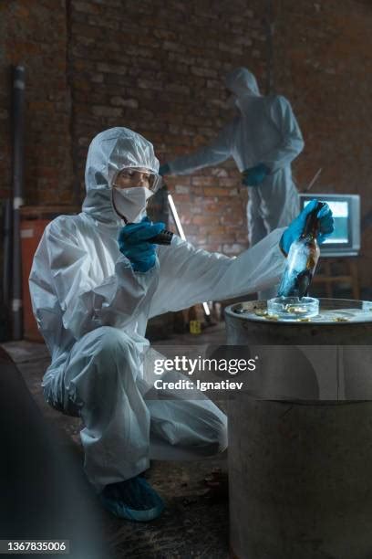 429 Fbi Crime Scene Investigator Stock Photos, High-Res Pictures, and ...