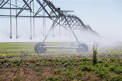 Agriculture: Irrigation of Agricultural Crops. Automated Irrigation ...