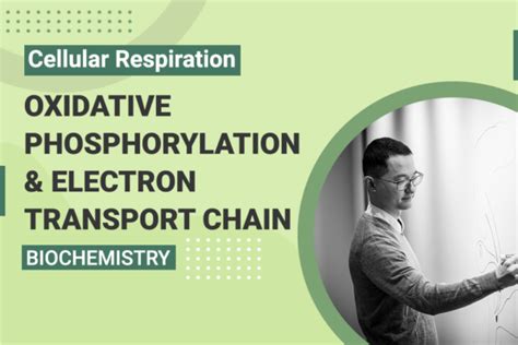 Biochemistry Medschoolcoach