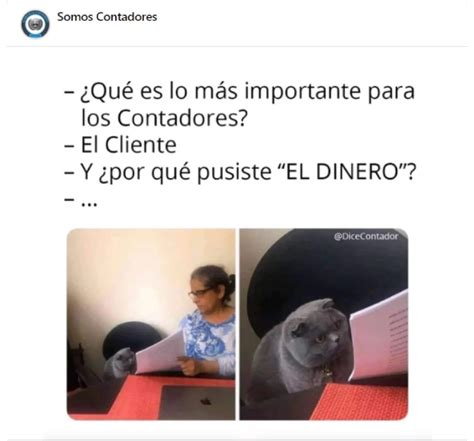 Día del Contador memes estas son las imágenes más graciosas que puedes