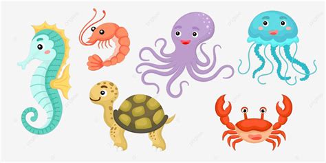 Cartoon Ocean Animals For Kids Decor And Invitations Vector, Animal, Wild, Birthday PNG and ...