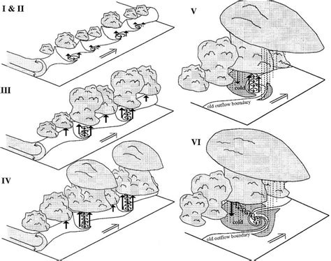 7 Representación Esquemática Del Ciclo De Vida De Un Tornado