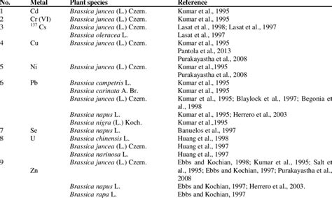 Promising Species Of Brassica For The Phytoextraction Of Various Metals