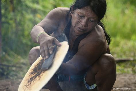 Nearly Half The Amazons Intact Forest On Indigenous Held Lands Report