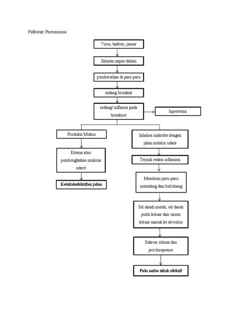 Pathway Pneumonia Pdf