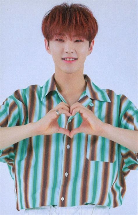 SEVENTEEN 2019 ODE to You IN SEOUL HOSHI Trading Card 0018 ありある