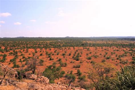 15 Photos That Will Inspire You To Travel Into The African Bush