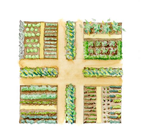 Vegetable Garden Drawing at PaintingValley.com | Explore collection of Vegetable Garden Drawing