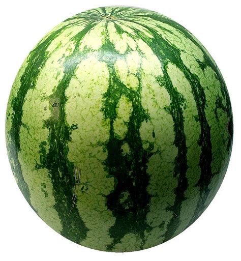 Kostenloses Foto Wassermelone Melone Obst Frucht Kostenloses Bild