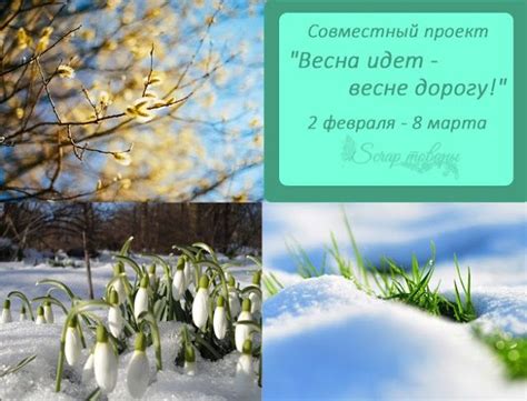 Scrap товары: СП " Весна идет-весне дорогу!" - 1 этап | Inspiration