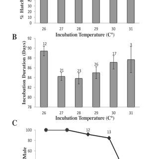 Hatching Success A Incubation Duration B And Sex Ratio Of