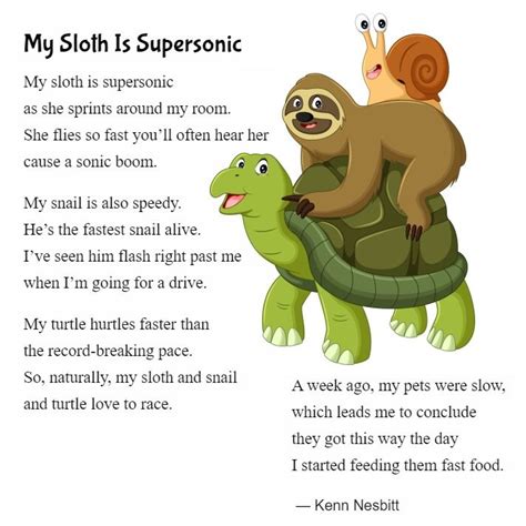 New Funny Animalpets Poem For Kids My Sloth Is Supersonic