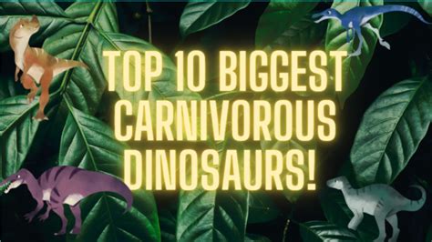 Top Biggest Carnivorous Dinosaurs Youtube