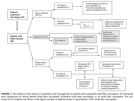 Utility of Skin Biopsy in Management of Small Fiber Neuropathy ...