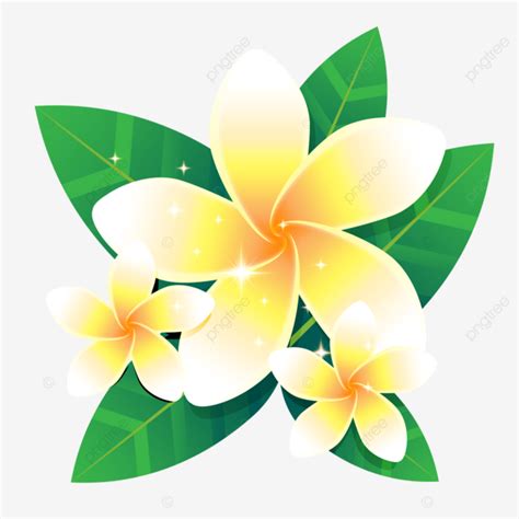 Frangipani Flower Songkran White Leaf Flower Leaf Frangipani Png