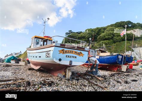 Colourful Fishing Boats Hauled Up On The Stony Shingle Beach In Beer