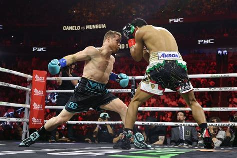 Canelo Demostr Ser Superior Y Venci Claramente A Mungu A